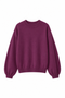 Photoroom_20251224_113054